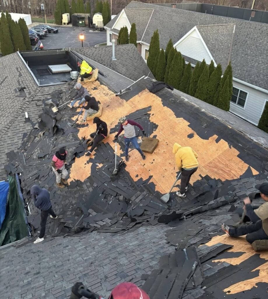 roof replacement