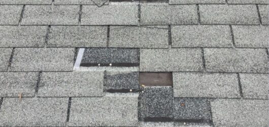 Wind Damage