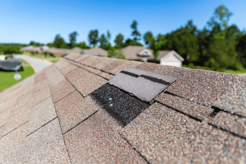 shingle