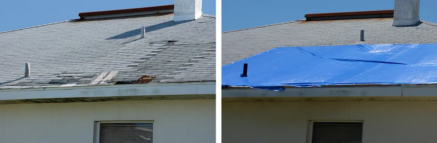 tarping