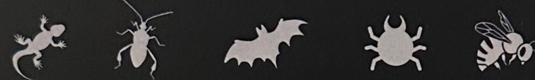 Icons of gecko, bug, bat, mite and bee