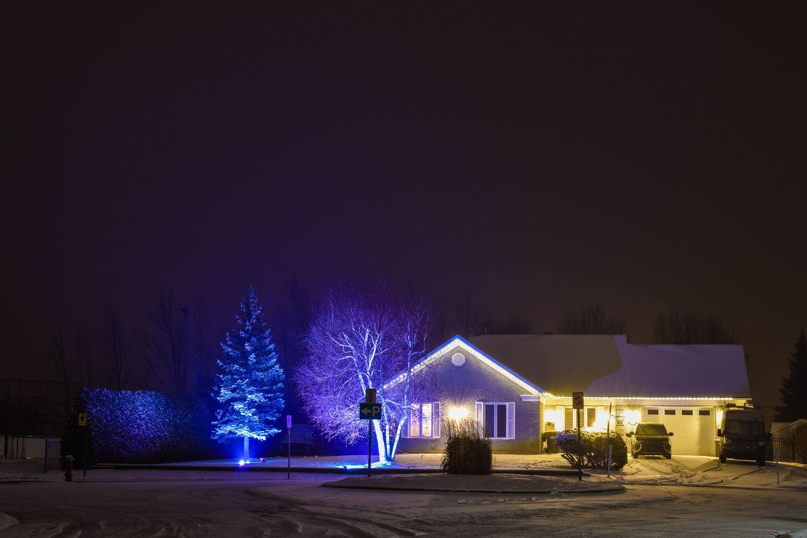 Trees and home wrapped in blue and white lights