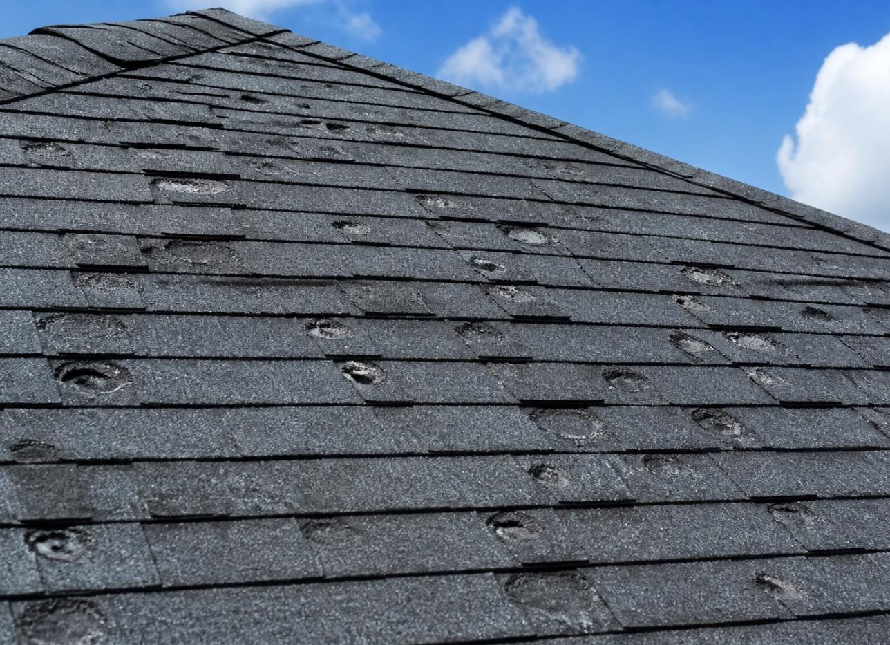 Hail damage on an asphalt shingle roof