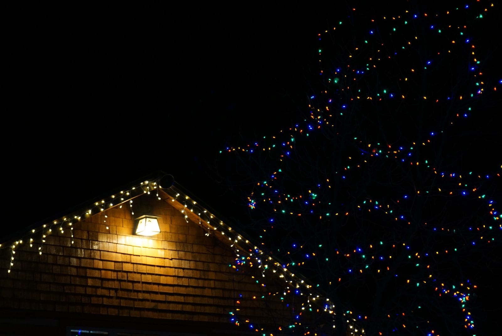 Commercial-grade LED string lights along a roofline